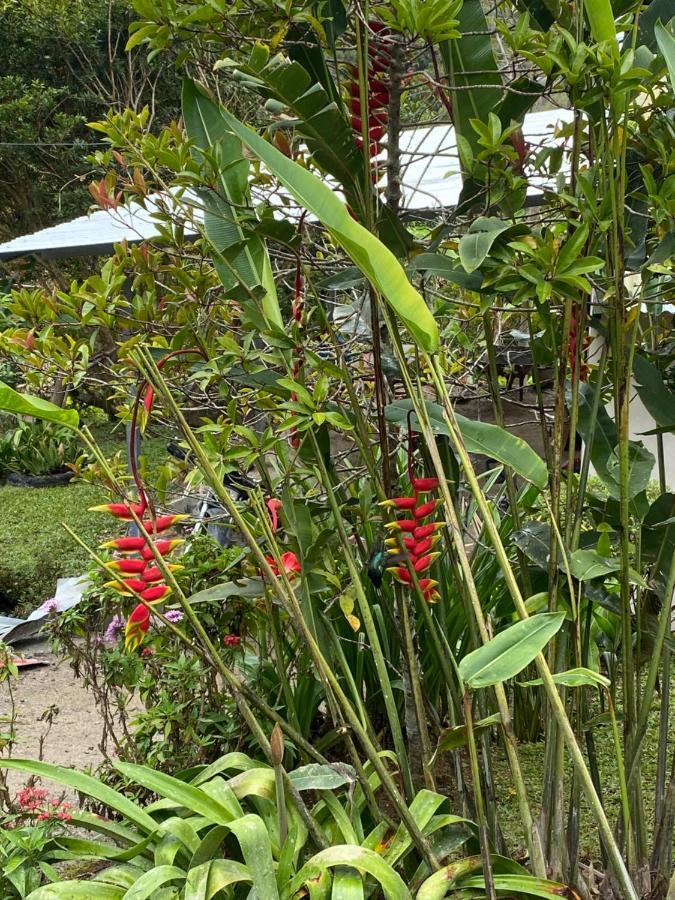 Hotel Uran Rivas ภายนอก รูปภาพ